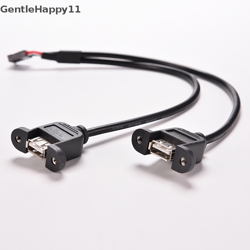 Gentlehappy 1pc Hitam 30cm/1FT 2port USB A Female Ke Kabel Adaptor Header 9pin Internal id