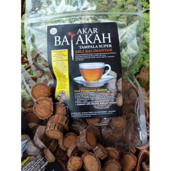 

Rekomendasi Penyembuhan dan Terlaris Bajakah Tampala Super Asli 100% HERBAL