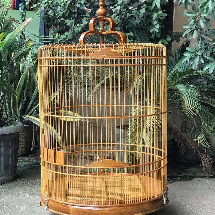 sangkar murai jati, sangkar murai, sangkar murai polos