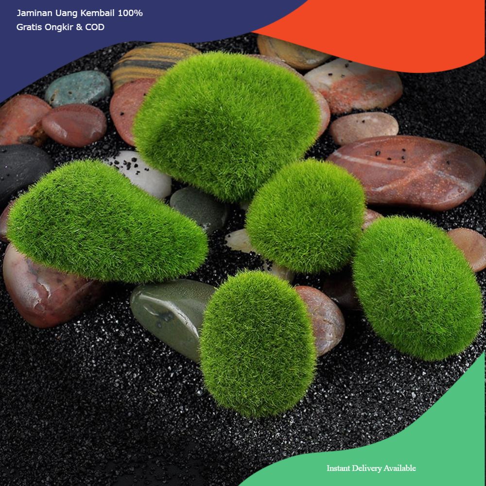Hiasan aquarium batu lumut, batu lumut aquarium, batu lumut aquascape, batu lumut, dekorasi aquarium
