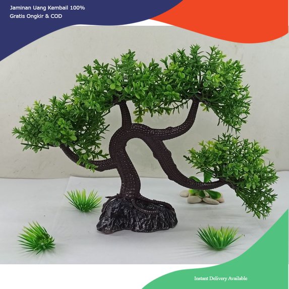 Hiasan aquarium tanaman bonsai, bonsai aquarium, dekorasi aquarium tanaman bonsai, pohon bonsai aqua