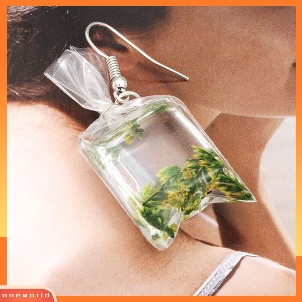 [WOD] Kreatif Bunga Kering Kantong Air Drop Anting Wanita Kait Telinga Perhiasan Hadiah