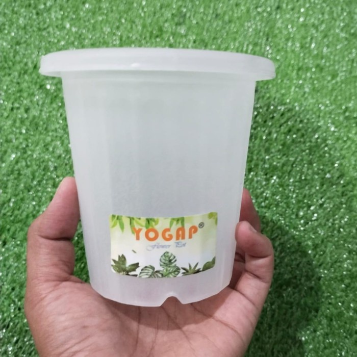 pot yogap 8 bulat, pot yogap 8 cm, pot kecil, pot tinggi