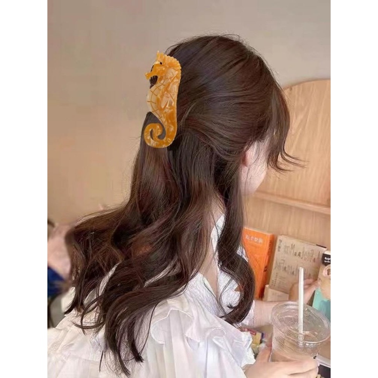 1pc Unik Hewan Laut Acetic Acid Hair Claw Lucu Cosplay Wanita Jepit Rambut Lucu Akrilik Hippocampus Japonicus/Fish/Shell/Shrimp Hairclip