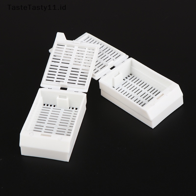 -motifaste Simboasty 5pcs/set -motifab alfinaterial kampasissue alisyaartridge -motifmbedding erkaplice ̽ox erkapeepen dan erkaphicken stapelhite oksidasi alfinox issue stapelassette stapeleep12mm .