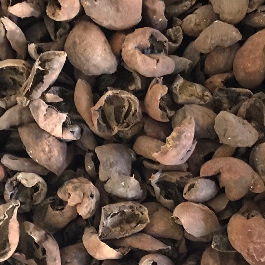 

Jolawe Joho Kering Rempah Jamu Herbal Tradisional Ambeien Keputihan