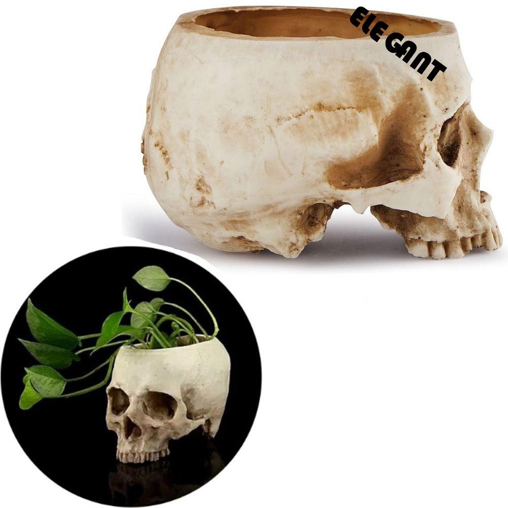 [Elegan] Pot Bunga Tengkorak Wadah Bar Wadah Bunga Kantor Kepala Tengkorak Sugar Skull Planter