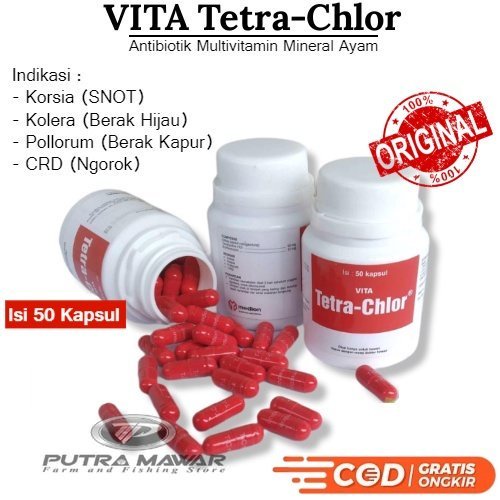 Vita Tetra Chlor / Obat Antibiotik Tetraclor Isi 50 Kapsul Buat Sakit Ayam Aduan Berak Kapur Hijau S