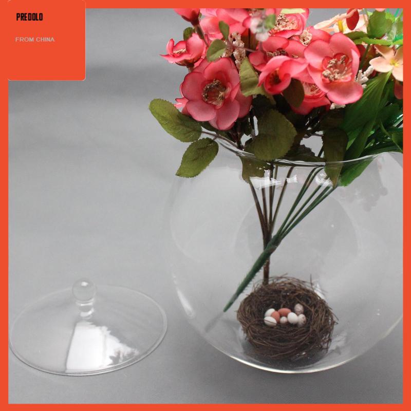 [Predolo] Planter Jar Sealed Storage Jar Terrarium Kaca Hias Untuk Gula Teh