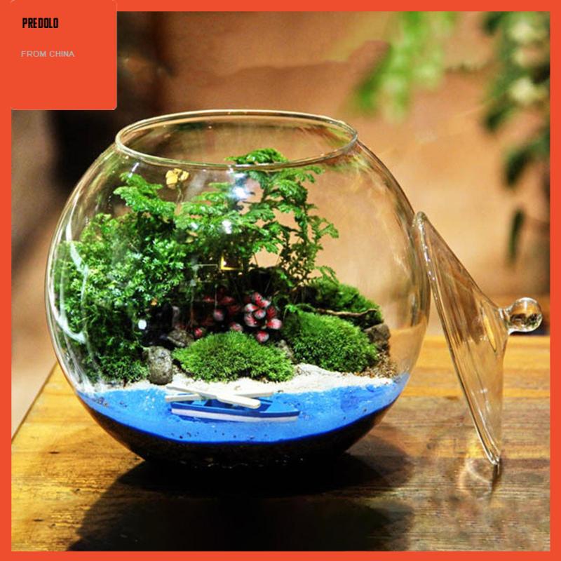 [Predolo] Planter Jar Sealed Storage Jar Terrarium Kaca Hias Untuk Gula Teh