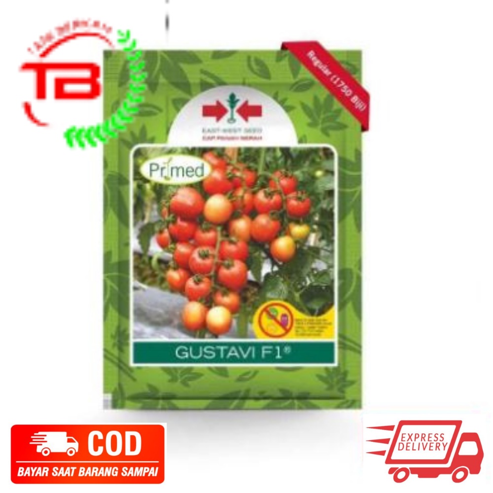 Benih Gustavi 1750 Butir Benih Tomat Cap Panah Merah GUSTAVI F1