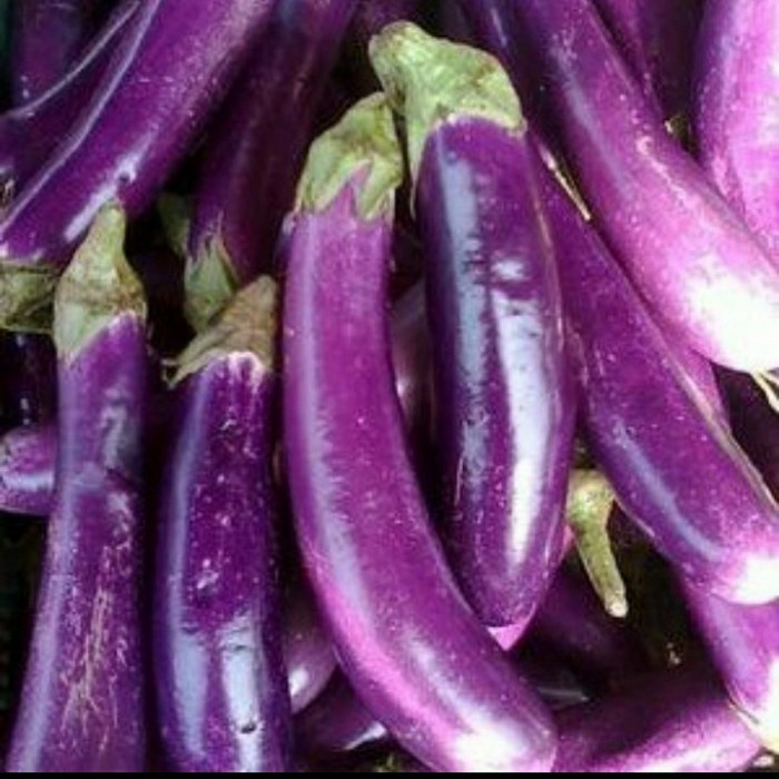 

Terong ungu - 1/2 kg