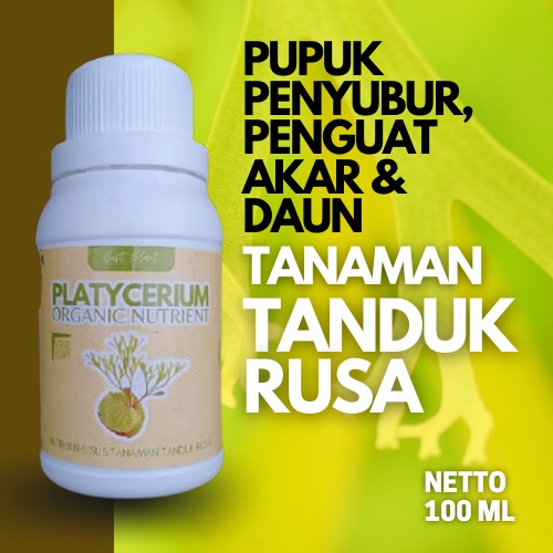 Pupuk Tanaman Tanduk Rusa Papua Wandae Pupuk Tanduk Rusa Penyubur Akar Daun Tanaman Hias Platycerium