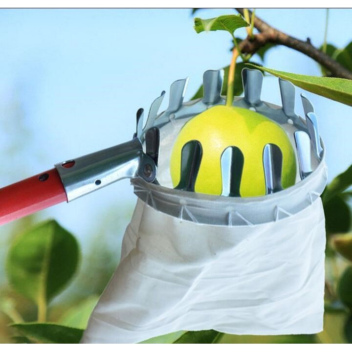 Alat Pemetik Buah Logam Untuk Pertanian / Kebun / Alat Petik Buah / Pemanen Buah