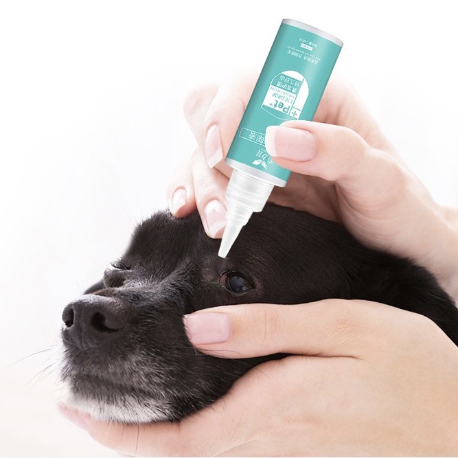 pet eye drops obat tetes mata kucing anjing luka katarak dog eye drop infeksi mata