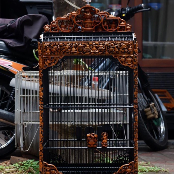 sangkar kacer, sangkar kenari, sangkar ukir