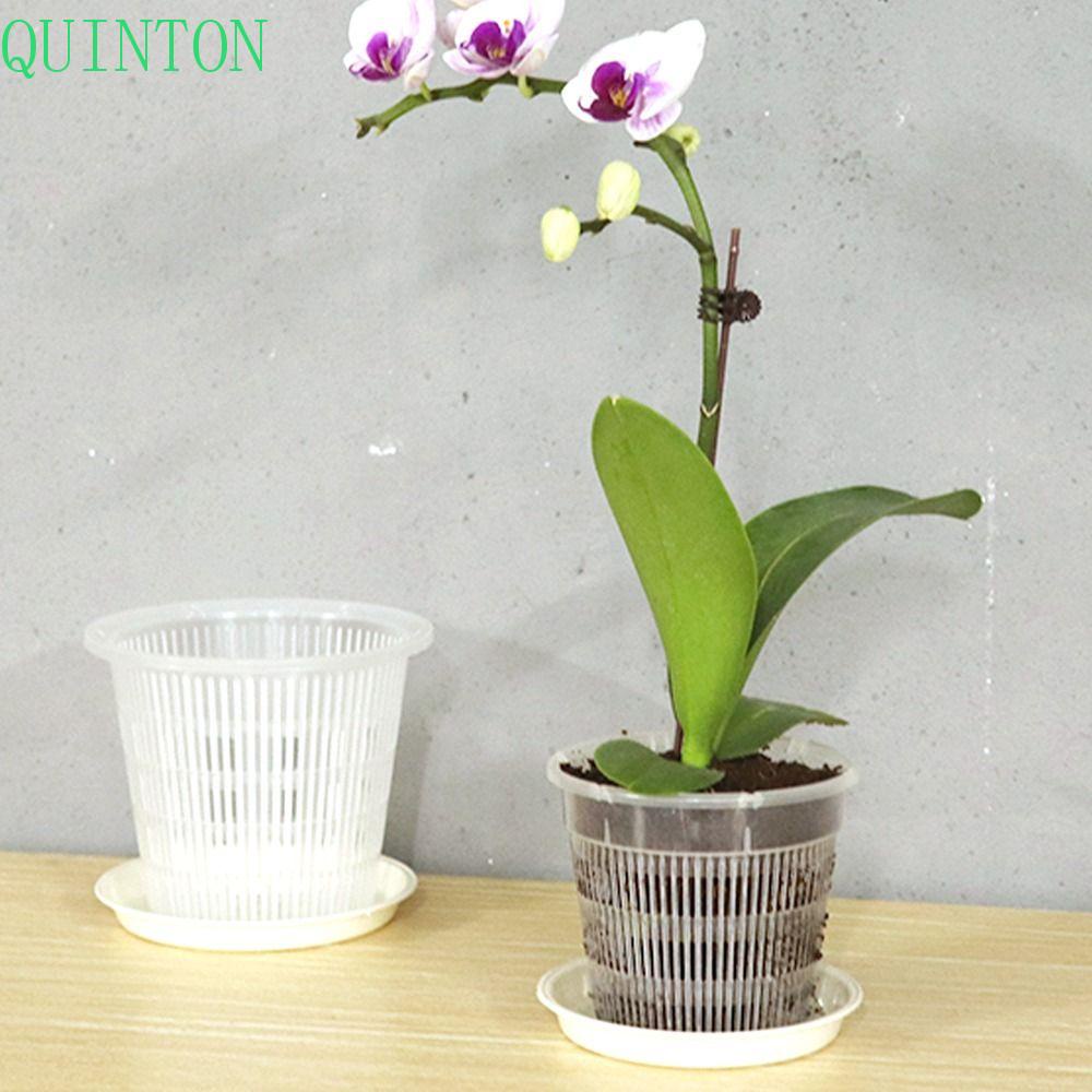 Quinton Pot Bunga Transparan Dengan Lubang Udara Breathable Taman Untuk Dekorasi Rumah Office Decor Cattleya Home Stomata Pot Bunga