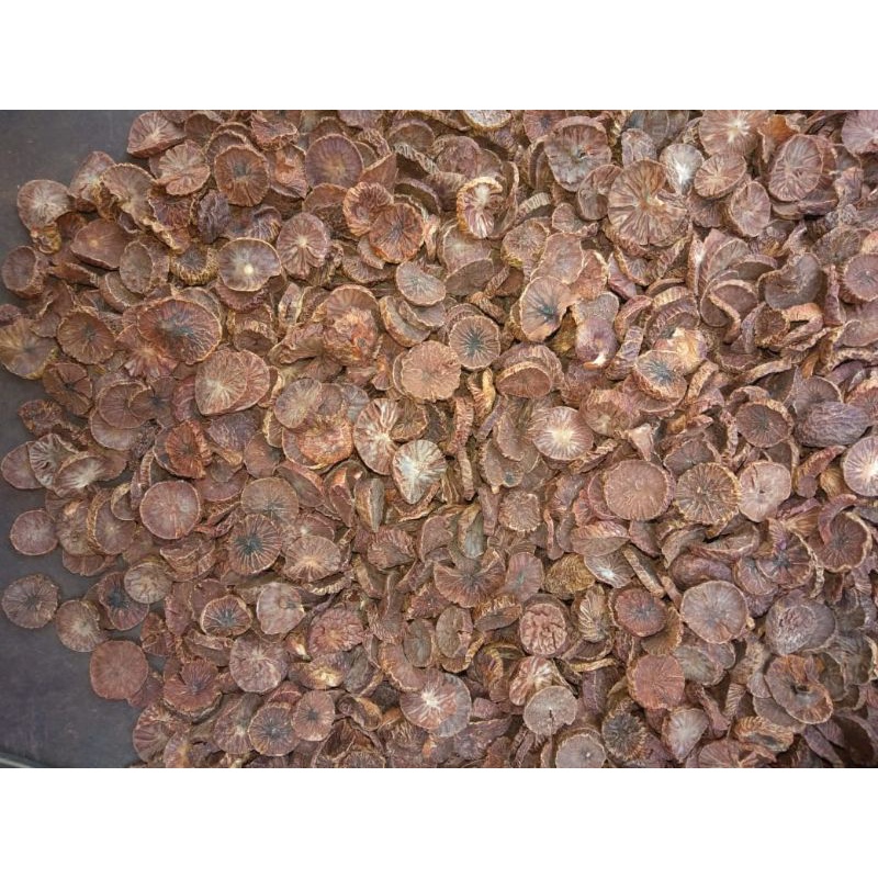 

BUBUK PINANG KERING 1 KG Tanaman Herbal Nusantara Free Stiker PIRT Random