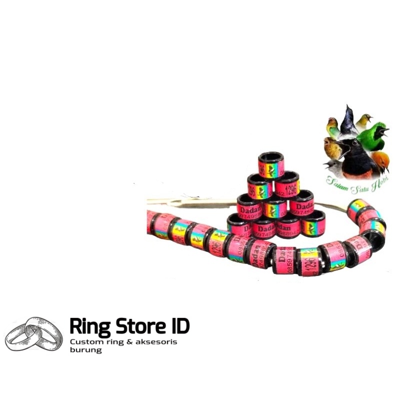 RING BURUNG MURAI Kacer CENDET