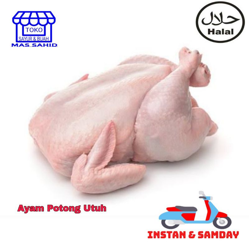 

INSTAN Ayam Potong Segar 1 Ekor Utuh