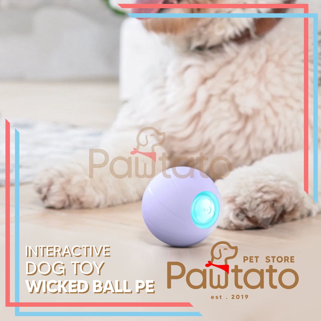 Mainan Anjing Cheerble Wicked Ball PE Smart Dog Toy Interactive Enrichment Pawtato Pet Store