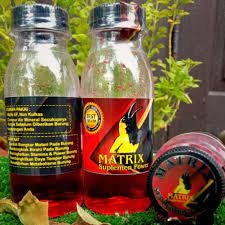 READY POWER GON GON'S SOGON POWER SUPLEMEN VITAMIN DOPING NEKTAR NECTAR PAKAN MAKANAN PENGGACOR SOGO