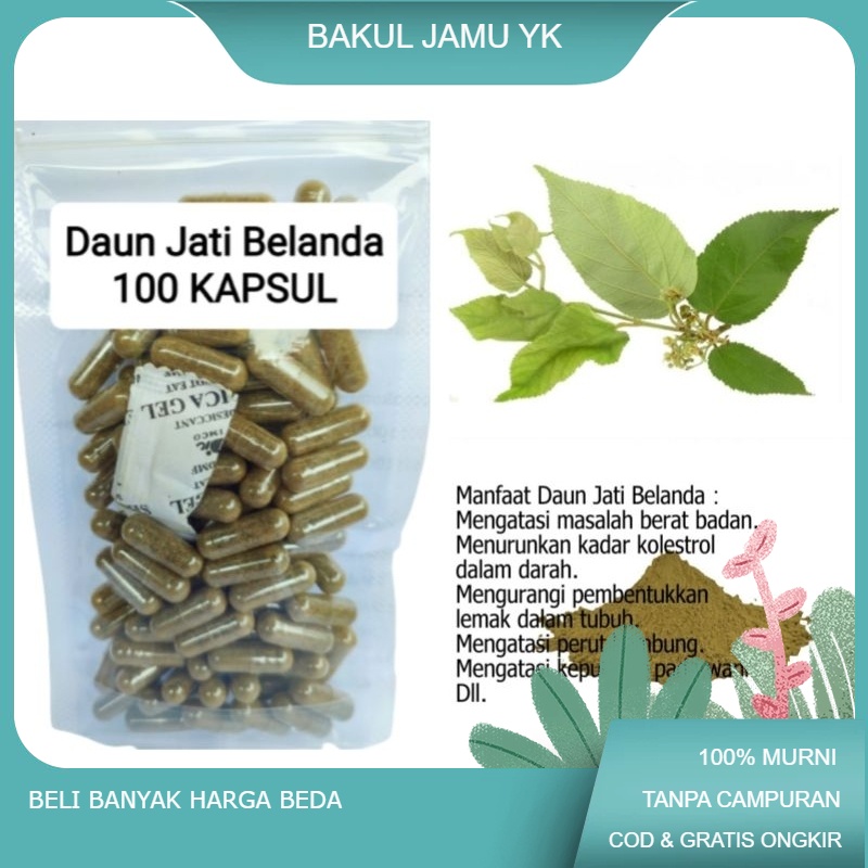 

sebuk kapsul JATI BELANDA isi 100 kapsul untuk pelangsing tubuh pembakar lemak