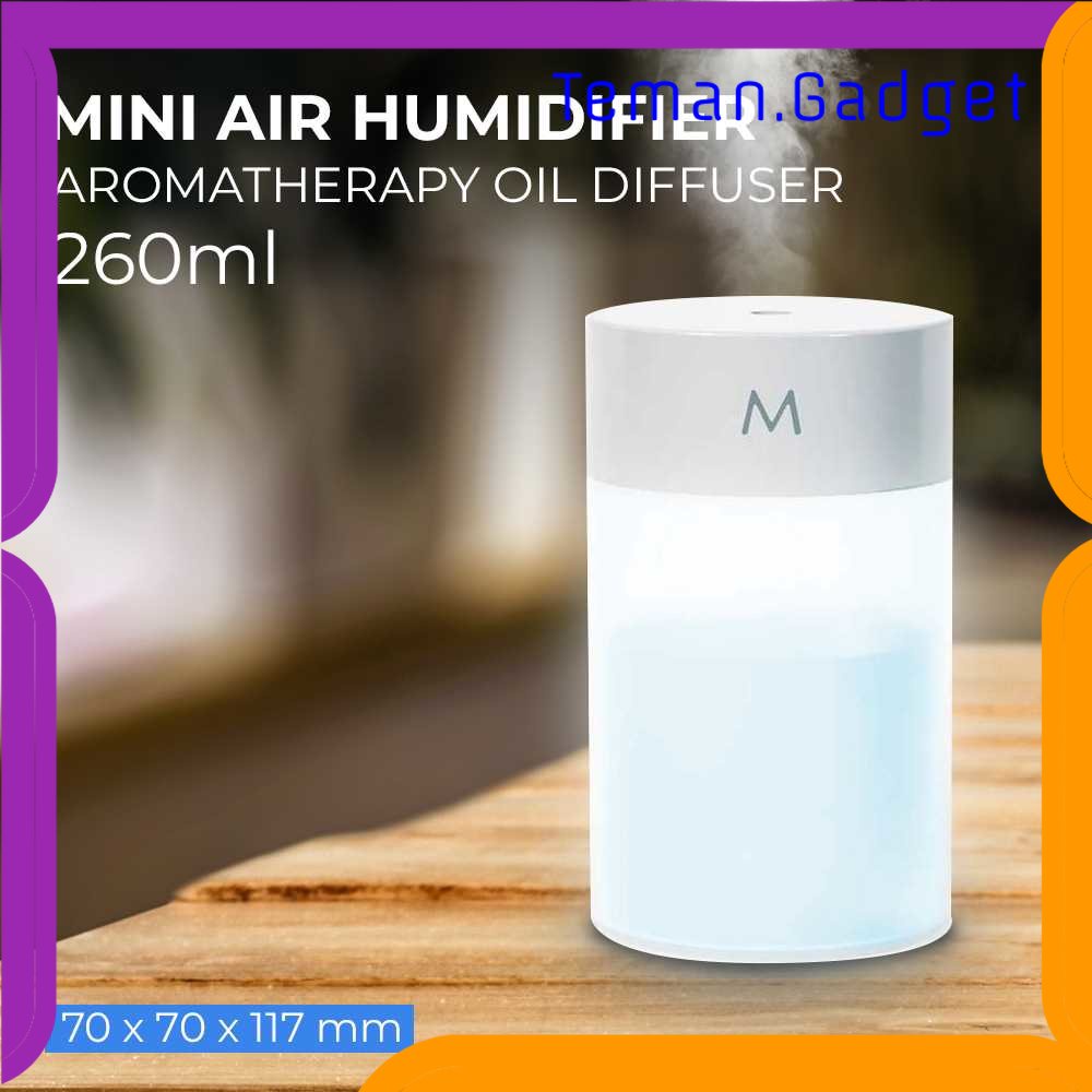 TG - ART Mini Air Humidifier Aromatherapy Oil Diffuser USB 260ml - A109