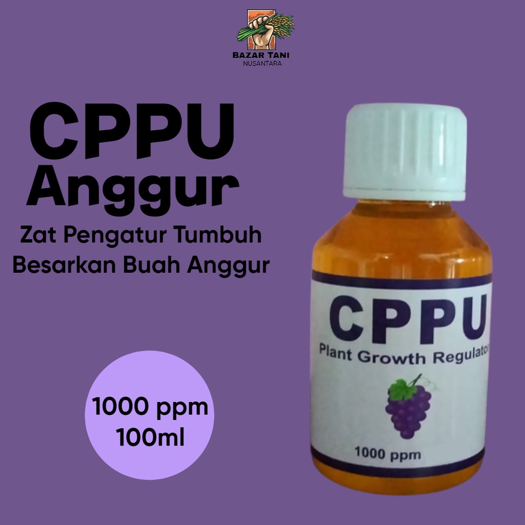 Hormon Tanaman CPPU ZPT Zat Pengatur Tumbuh Besarkan Buah Anggur