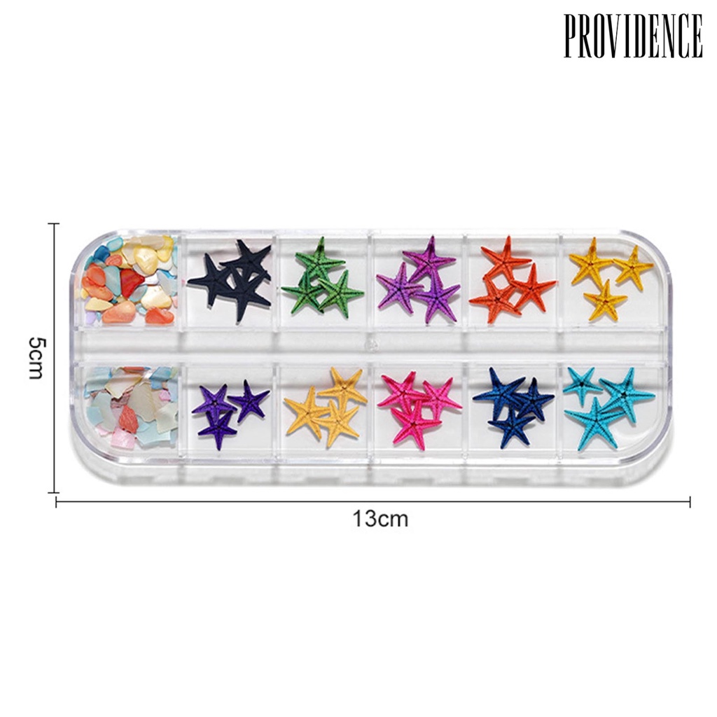 Providence 1kotak Hiasan Kuku Gaya Laut Bentuk Kreatif Jumlah Melimpah Banyak Gaya Aplikasi Lebar Hias Plastik 3D Alami Bintang Laut Kerang Perlengkapan Kuku