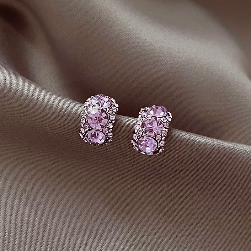 Niche Indah Ungu vermiculite Anting Perempuan2023Anting Baru Cahaya Mewah Tinggi -Tingkat Tinggi -Tingkat Rasa Telinga Serbaguna Dekorasi