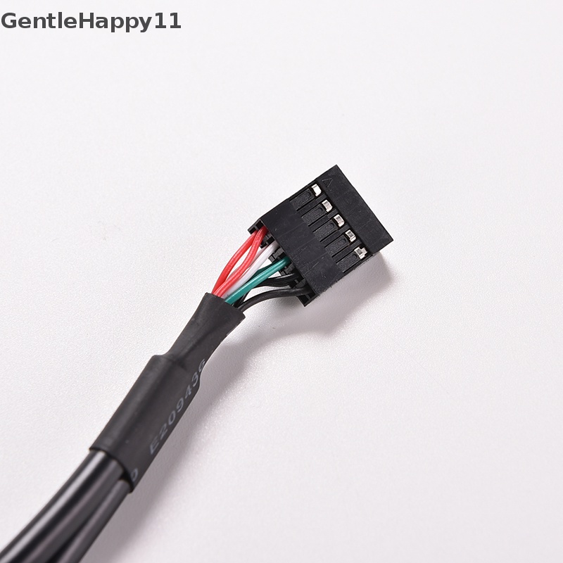 Gentlehappy 1pc Hitam 30cm/1FT 2port USB A Female Ke Kabel Adaptor Header 9pin Internal id