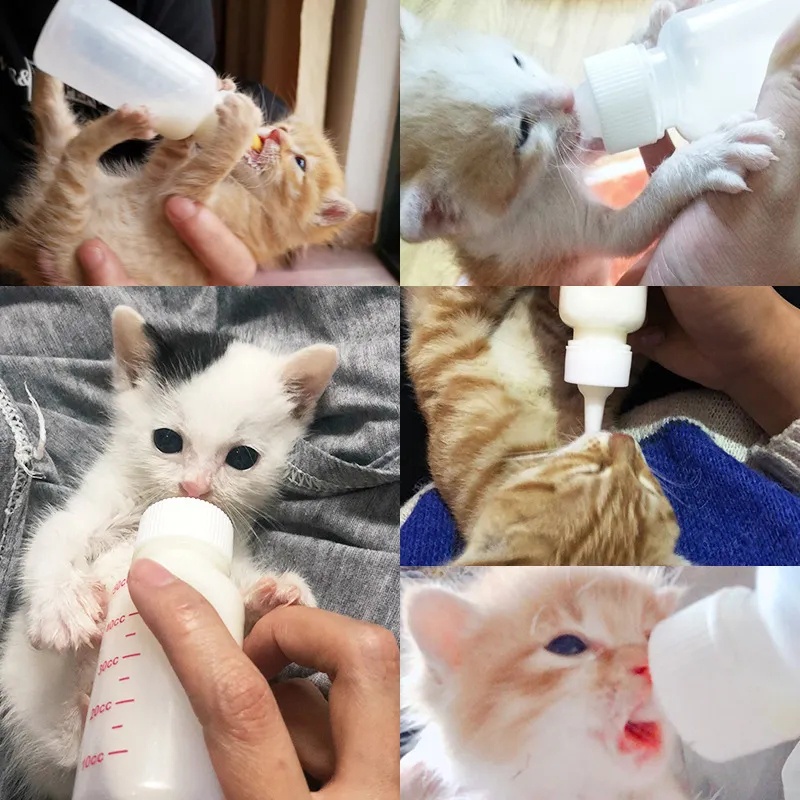 60ml Botol Susu Hewan Peliharaan Dot Kecil Botol Susu Anjing Kucing Pet Feeder Supplies Puppy Kitten Nursing Water Milk Feeder Botol Minum Kucing Pet Silicone Milk Bottle Kit