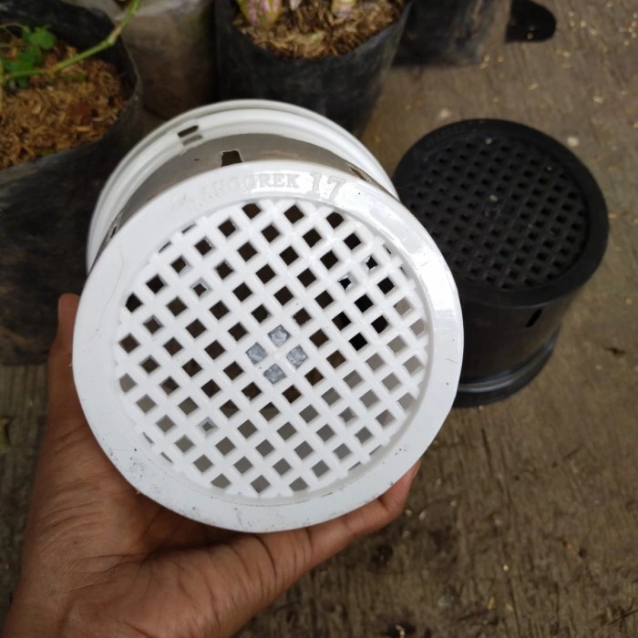 pot anggrek 17, pot cattleya, pot anggrek bulan hitam,