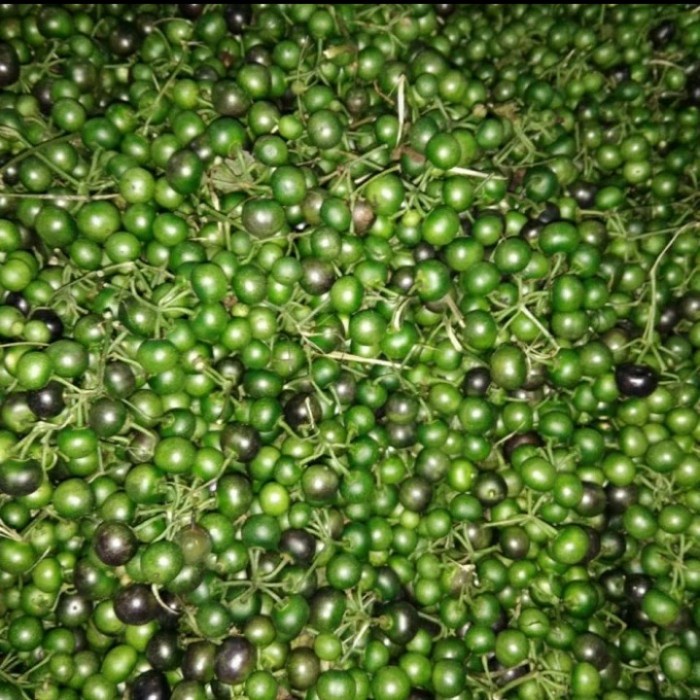 

Leunca 250gr - 1/4 kg
