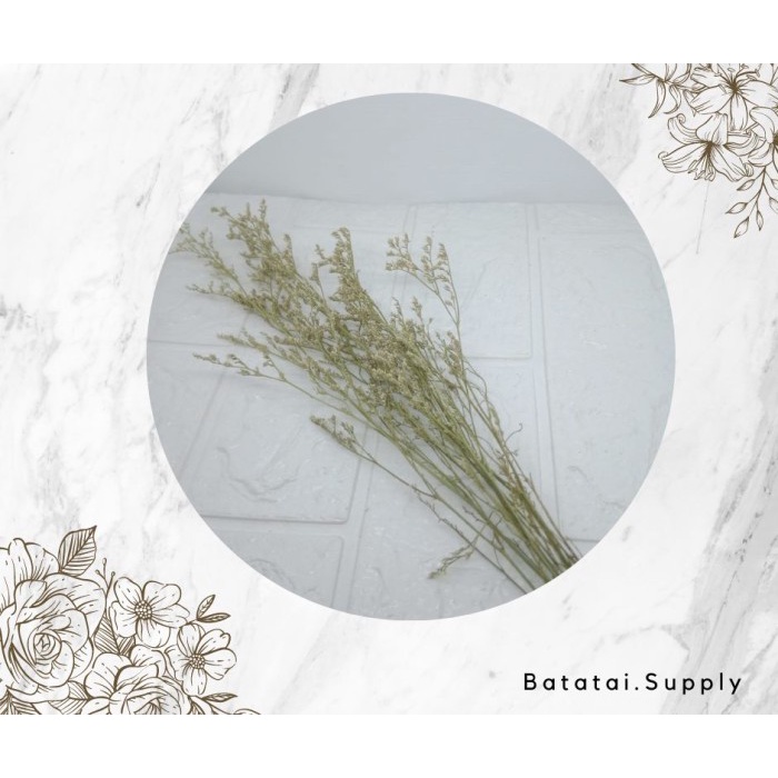 caspea flower / dried flower / preserved flower - natural