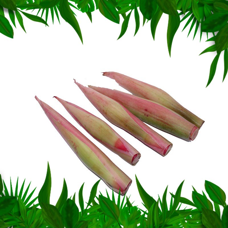

Sayur Fresh Nuatara Bunga Kecombrang Tanpa Batang 200 - 250 Gr (4-6 pcs)