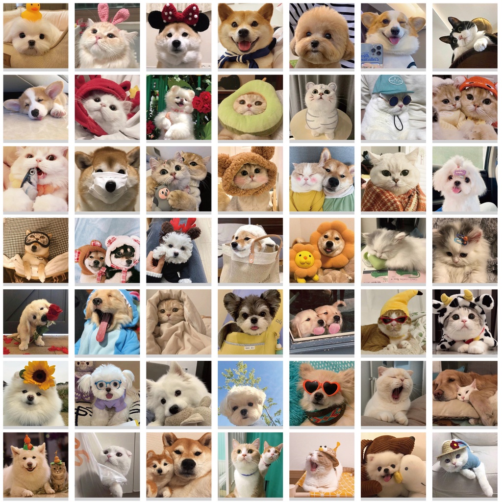 50 /100Pcs /Pack Seri Hewan Lucu Tahan Air Koper Hias Laptop Scrapbook Stiker Pola Kucing Anjing Peliharaan Stiker Lucu