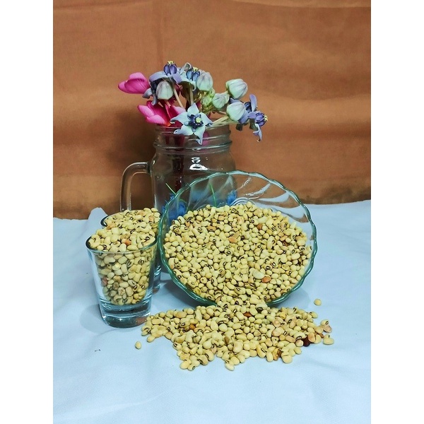 

Kacang Tolo 1 Kg Otok Putih Organik Superfood Benih Multivitamin Pure