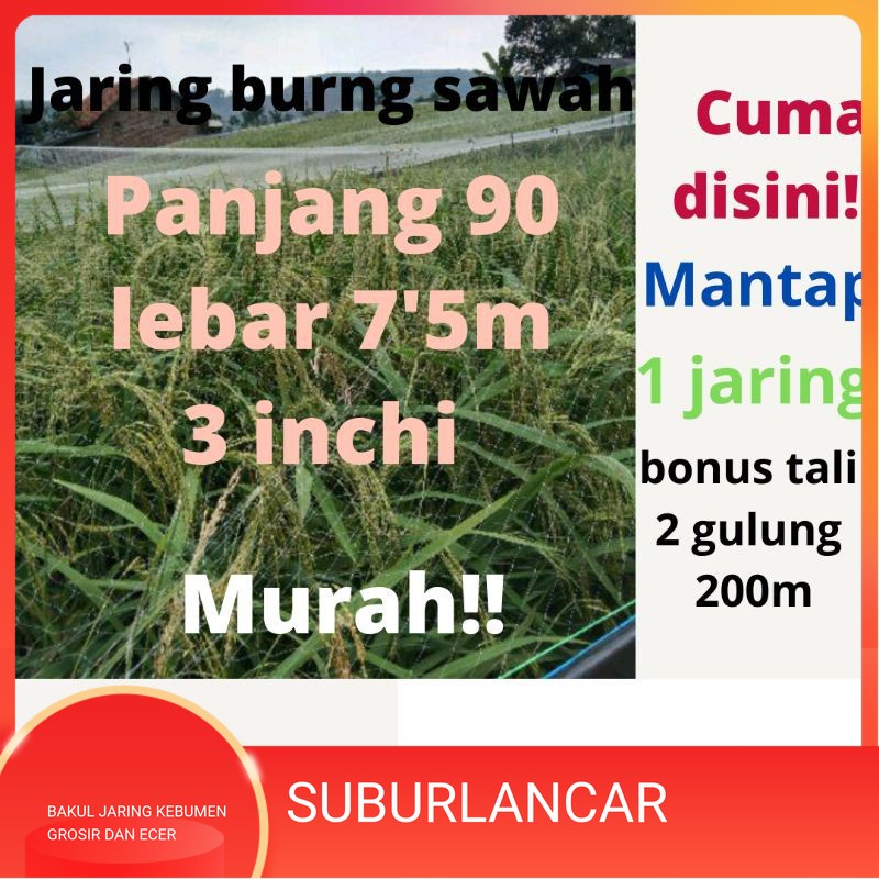 JARING BURUNG JARING PADI JARING EMPRIT JARING SAWAH 7,5x 90 METER JEBAKAN PERANGKAP BURUNG JARING