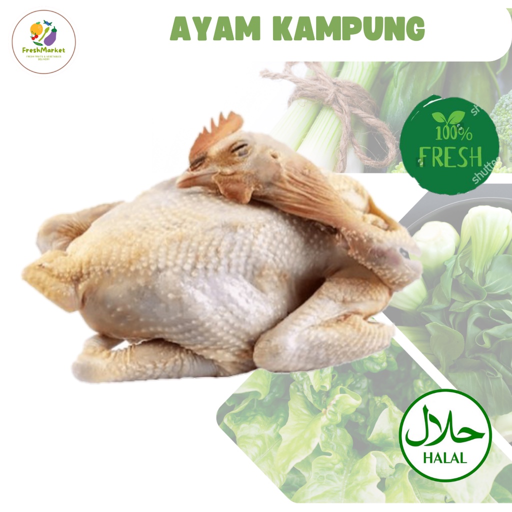 

Ayam Kampung Segar -/+ 1.2 Kg 100% Halal Freshmarketlampung