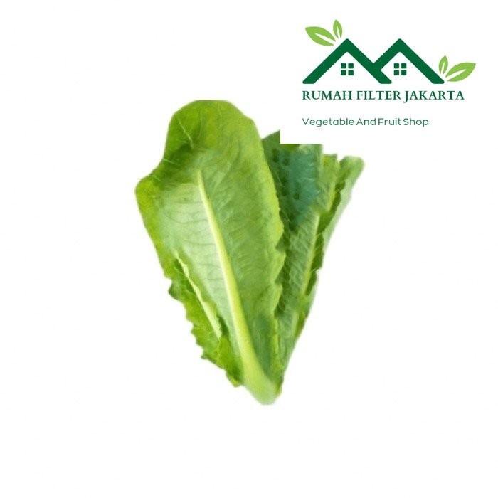 

Selada Romaine / Ciwis Segar 250gr