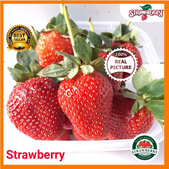 ✨NEW✨ -Buah Strawberry Fresh Segar Grade A 500 gram- 2.2.23
