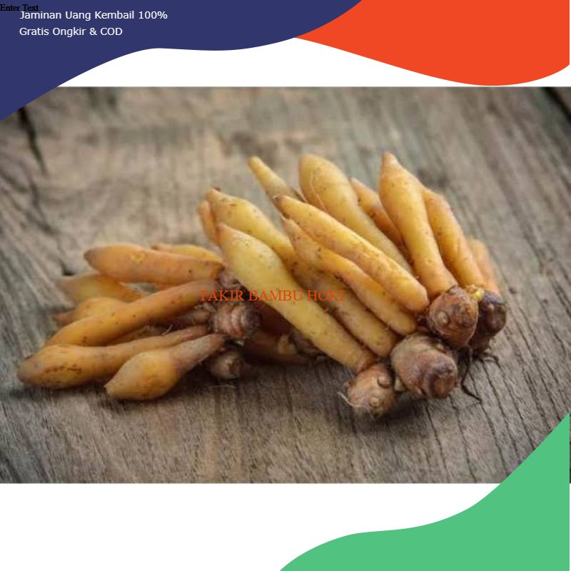 

PROMO TEMU KUNCI FRESS BASAH 1 KG (CURCUMA XANAHORRIZA) TERMURAH