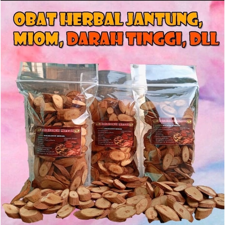 

AKAR BAJAKAH BORNEO BAJAKAH TAMPALA HERBAL [KANKER TUMOT BENJOLAN MIOM DIABETES JANTUNG] 1KG TERLARIS