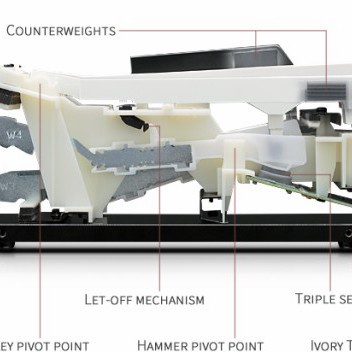 KAWAI CN29 PIANO DIGITAL / ELEKTRIK CN 29 / CN-29 - Down Payment