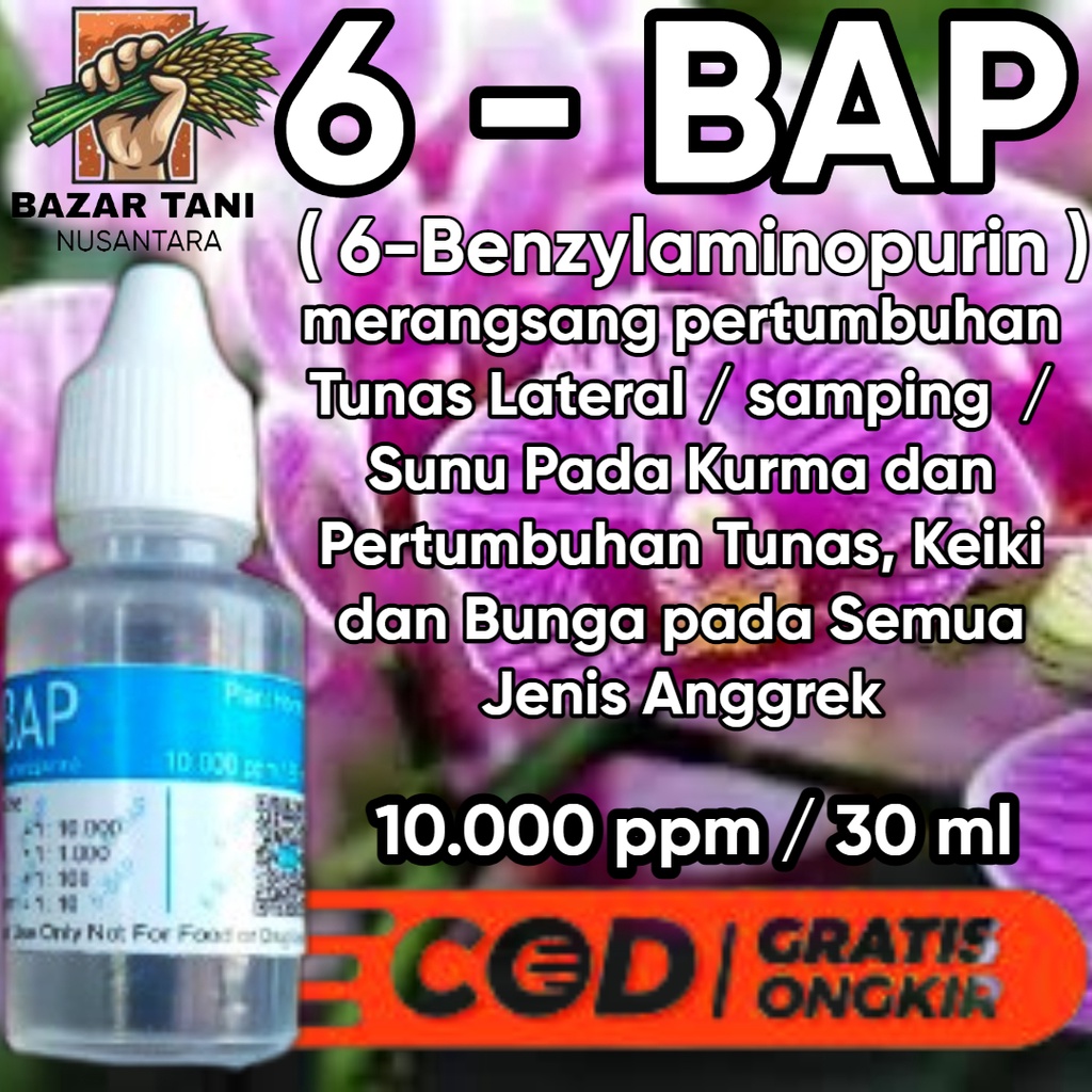 (BTN )Hormon 6 BAP Bud Breaker Penumbuh Tunas dan Bunga anggrek
