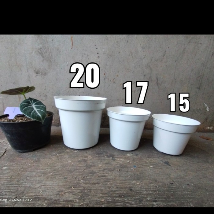 Pot Tinggi Srondol Putih, Hitam, pot tinggi murah, pot 20, 17, 15