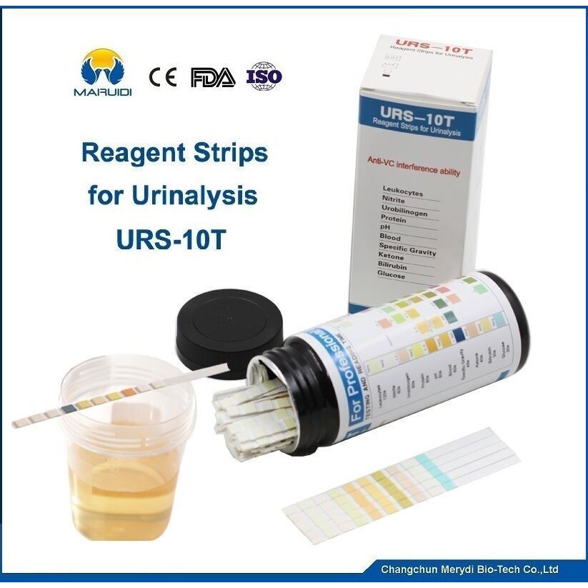 (COD) URINALYSIS REAGENT STRIP 10 PARAMETER 100 STRIP TEST URINE VERIFY