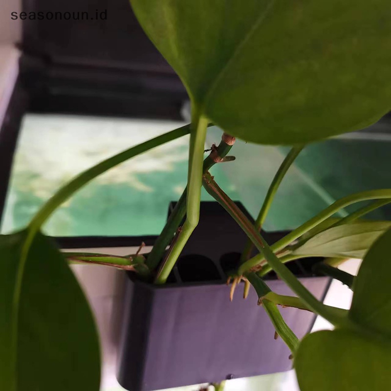 Alfineasonoun alfinquarium alfinlanter alfinquarium alfinasket galihish galihtanipersatuan alfinith .parut .